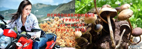 прущий лед Алзамай