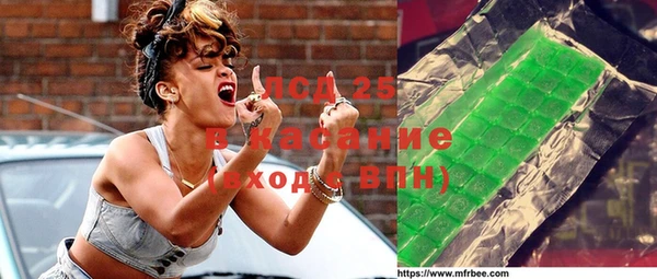 прущий лед Алзамай