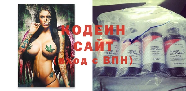 прущий лед Алзамай