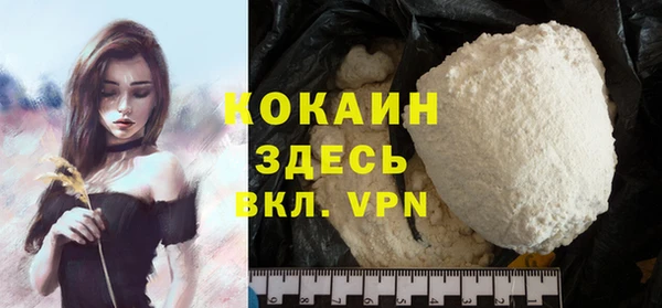 прущий лед Алзамай