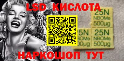 СК Ярославль