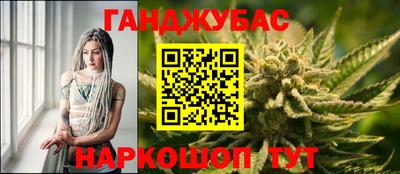 СК Ярославль