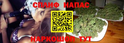 PSILOCYBIN Янаул