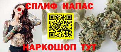СК Ярославль