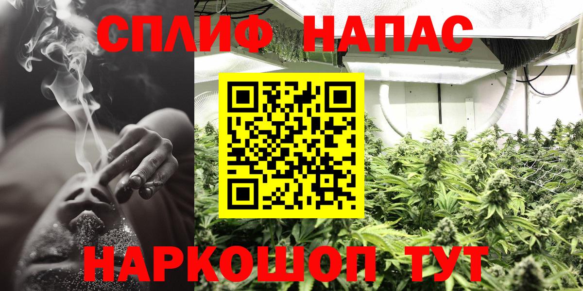 Канабис гибрид Октябрьский